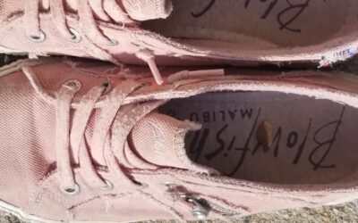 The Stone in My Shoe